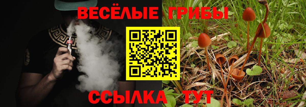 Галлюциногенные грибы Psilocybine cubensis Нурлат