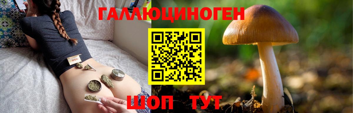 Нурлат  Галлюциногенные грибы прущие грибы  Вход с VPN 
